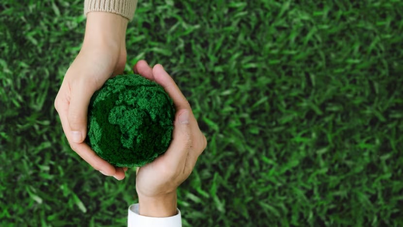 Singapore sẽ tiếp tục theo đuổi hành động khí hậu thông qua chiến lược đa hướng, đảm nhiệm nhiều vai trò trong tiến trình khử carbon toàn cầu. Ảnh: Shutterstock