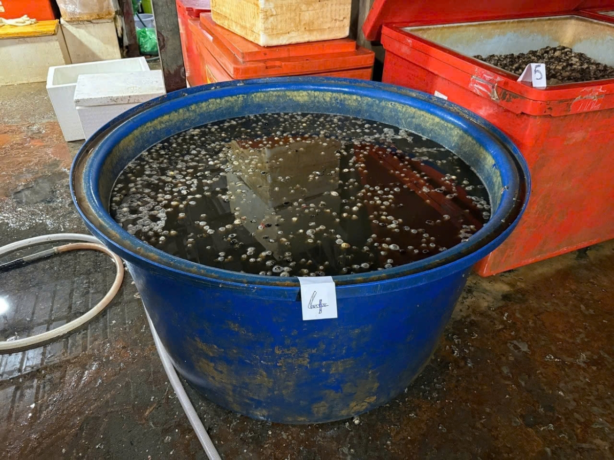 Hình ảnh tang vật bị thu giữ.