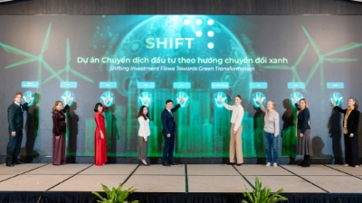 Vietnam needs $700 bln for green transition by 2050