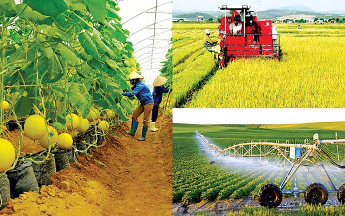 Phát triển nông nghiệp nhanh, bền vững, hiệu quả và có trách nhiệm.