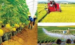 Tạo đột phá cho phát triển nông nghiệp, nông thôn
