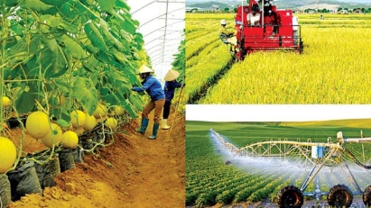 Driving breakthroughs in agriculture and rural development