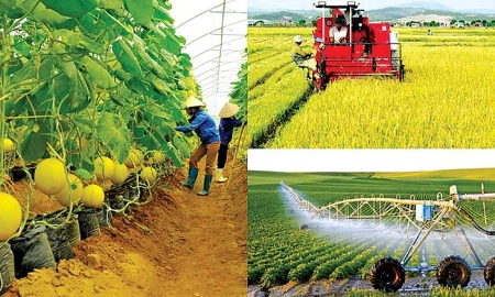 Phát triển nông nghiệp nhanh, bền vững, hiệu quả và có trách nhiệm.
