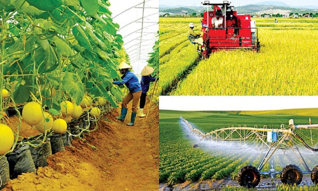 Phát triển nông nghiệp nhanh, bền vững, hiệu quả và có trách nhiệm.