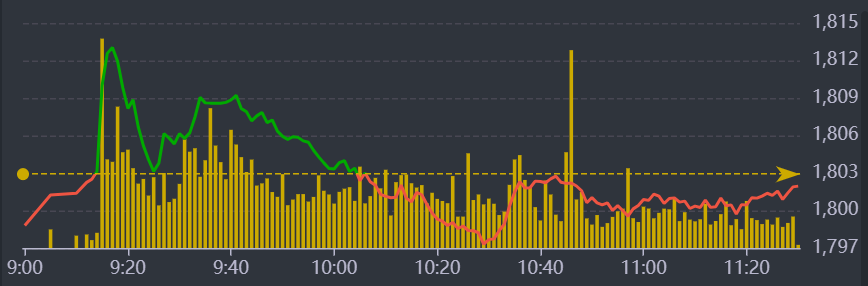 Diễn biến VN-Index sáng nay.
