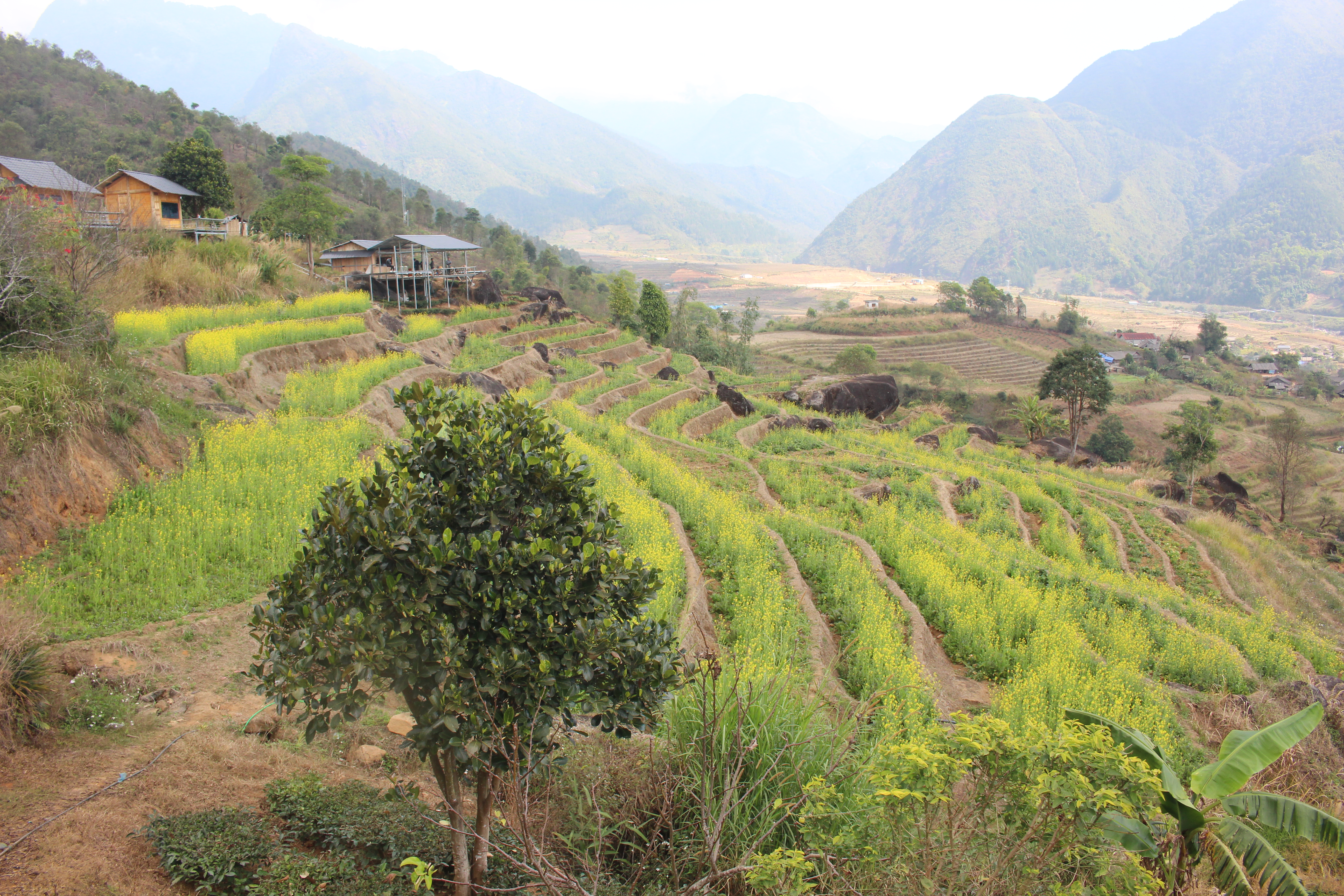Quang cảnh bình yên ở bản Chu Va 6. Ảnh: Chu Khôi.