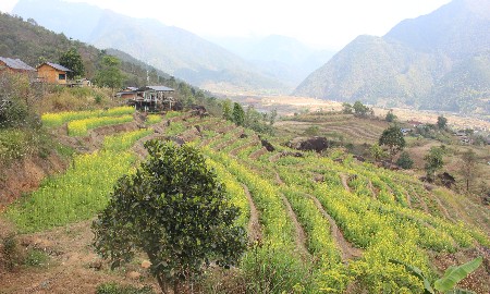 Ô Quy Hồ mở cửa mây, rẻo cao Lai Châu thức giấc cùng du lịch xanh