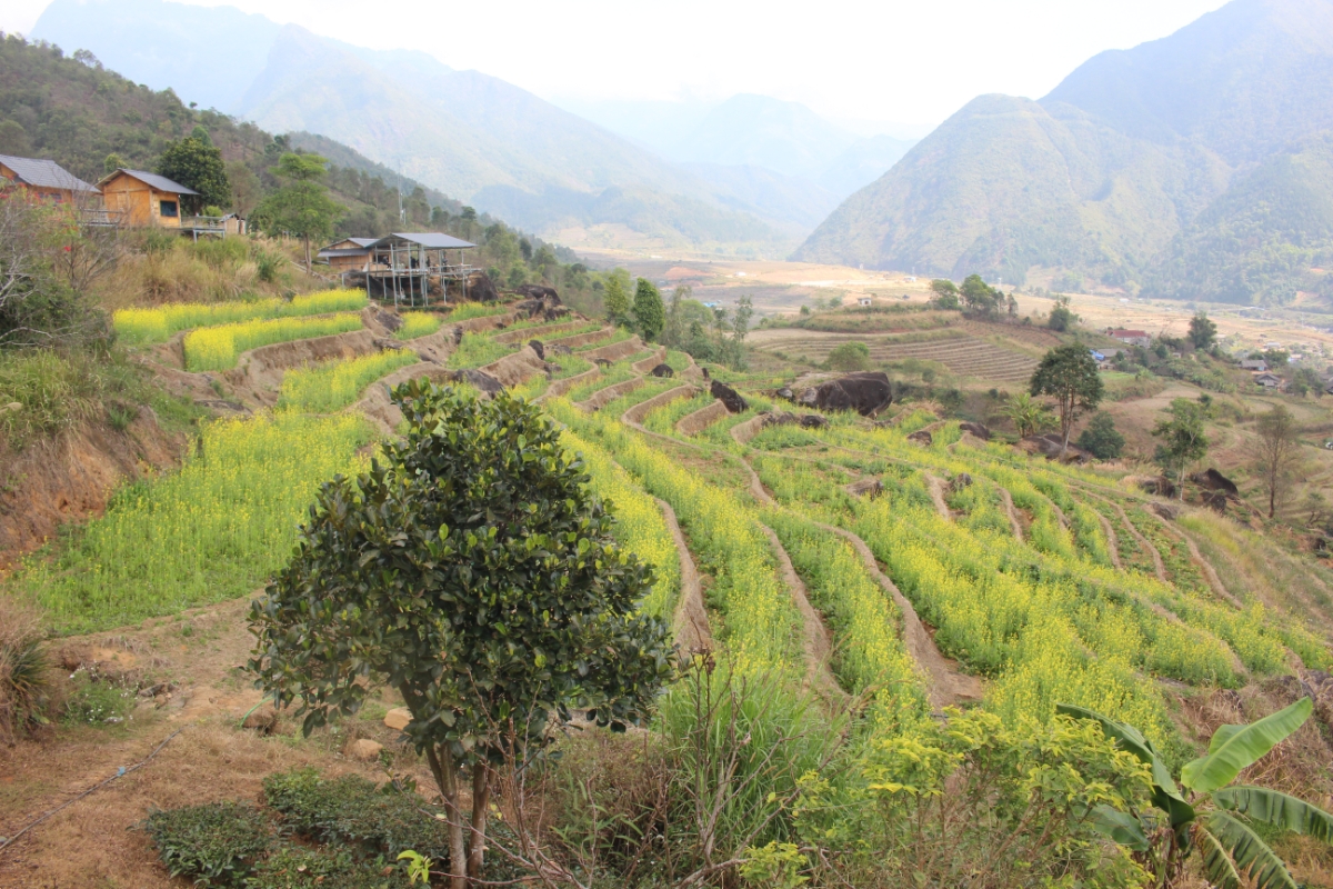 Quang cảnh bình yên ở bản Chu Va 6. Ảnh: Chu Khôi.