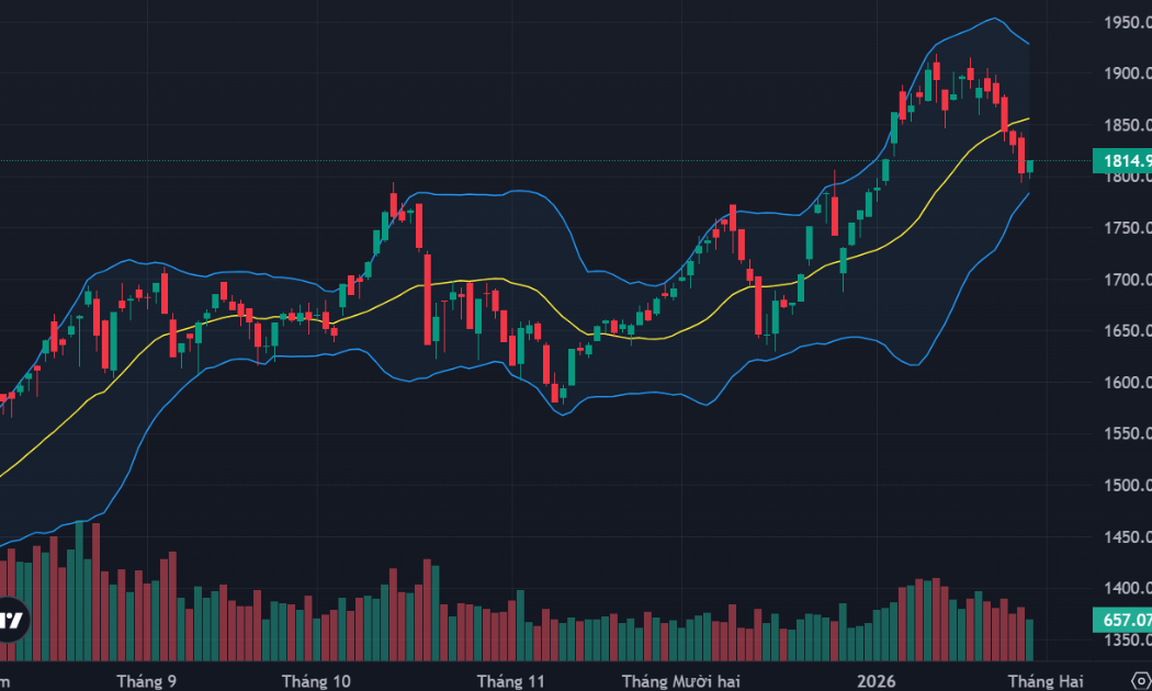 Cầu bắt đáy kéo giá phục hồi tích cực