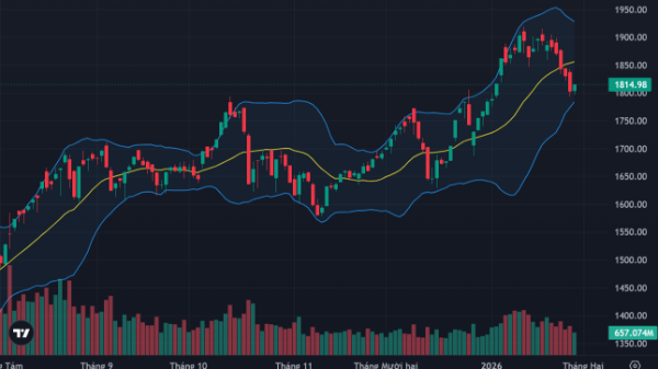 Cầu bắt đáy kéo giá phục hồi tích cực