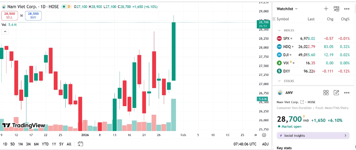 Sơ đồ giá cổ phiếu ANV trên TradingView.