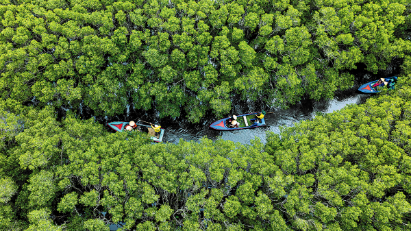 Blue carbon potential in Vietnam