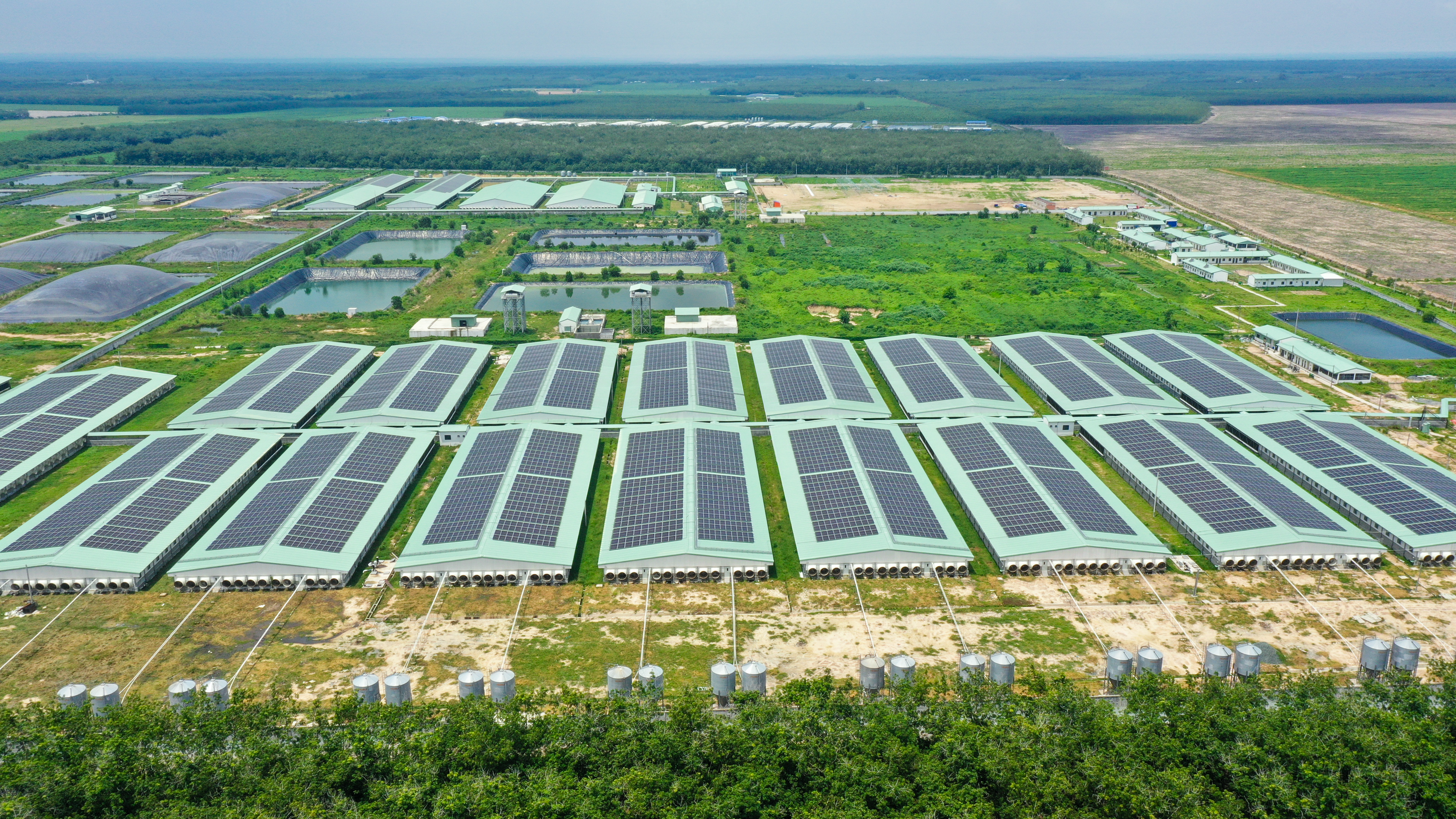 Doanh nghiệp nỗ lực giữ biên lợi nhuận nhờ kiểm soát tốt chi phí và mô hình kinh doanh ổn định