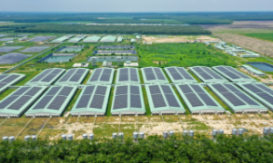 Doanh nghiệp nỗ lực giữ biên lợi nhuận nhờ kiểm soát tốt chi phí và mô hình kinh doanh ổn định
