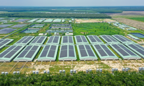 Doanh nghiệp nỗ lực giữ biên lợi nhuận nhờ kiểm soát tốt chi phí và mô hình kinh doanh ổn định