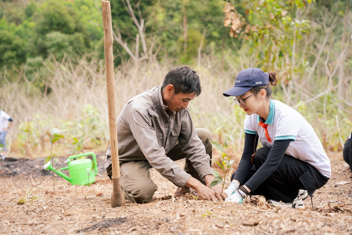 Các TNV ABBANK cùng người dân xã Thông Thụ tham gia trồng cây quế giống – bước khởi đầu cho sinh kế bền vững tại địa phương.