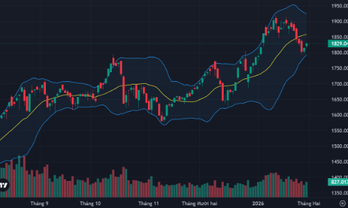 Sắc xanh áp đảo, cổ phiếu ngân hàng quay lại dẫn sóng, bất động sản phục hồi