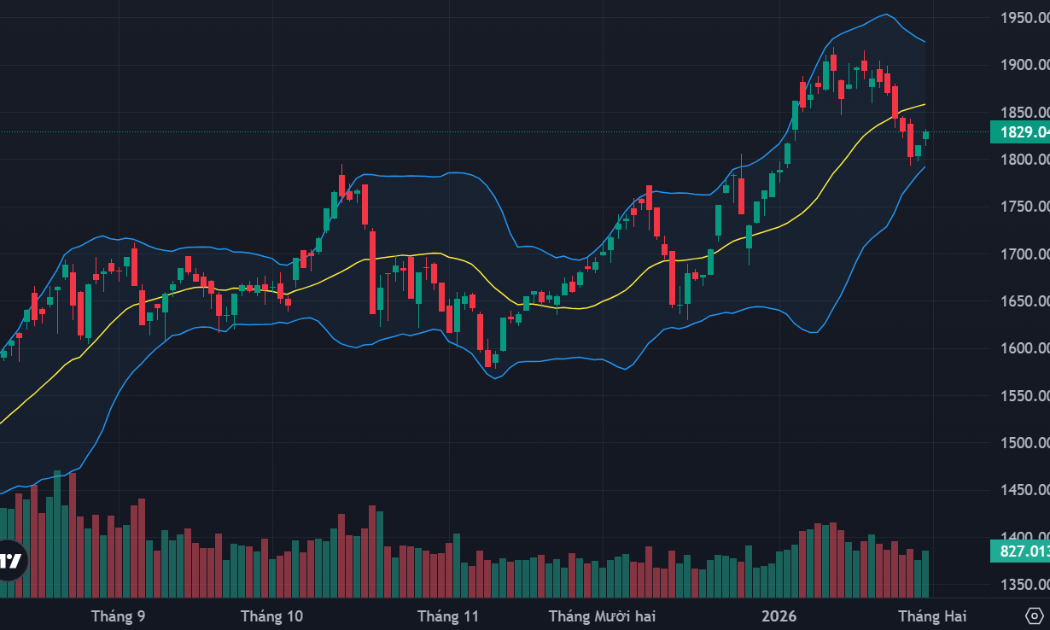VN-Index đã bật lại tại vùng 1800 điểm.