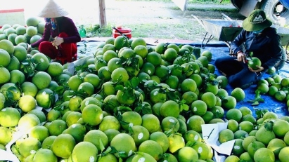 Hanoi's agricultural and forestry exports top $2 bln in 2025