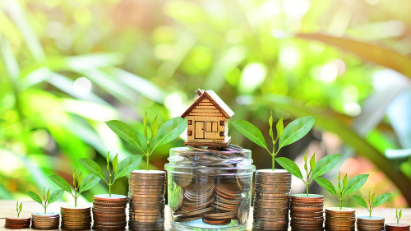 Unlocking capital for carbon market development