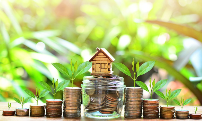 Unlocking capital for carbon market development