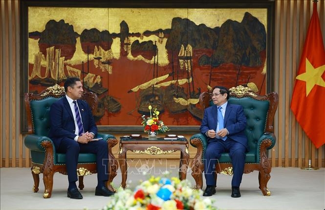 Thủ tướng Phạm Minh Chính tiếp ông Johan Ndisi, Đại sứ Vương quốc Thụy Điển tại Việt Nam. Ảnh: TTXVN.