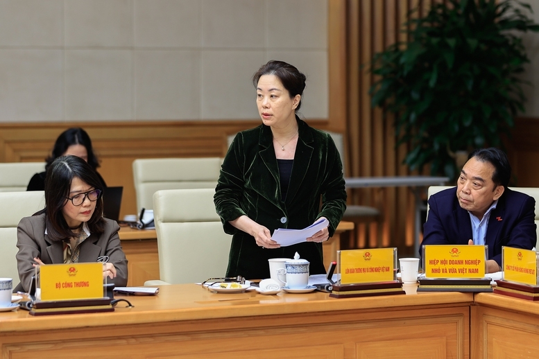 Đại diện các doanh nghiệp phát biểu tại Phiên họp - Ảnh: VGP