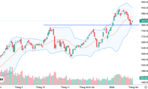Xu thế dòng tiền: VN-Index bật lên từ ngưỡng 1800 điểm, thị trường có vào “sóng đón Tết”?