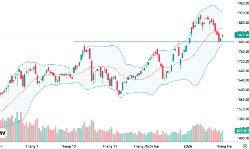 Xu thế dòng tiền: VN-Index bật lên từ ngưỡng 1800 điểm, thị trường có vào “sóng đón Tết”?
