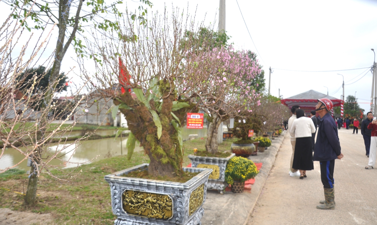 Người dân phấn khởi khi hội chợ hoa đào&nbsp;