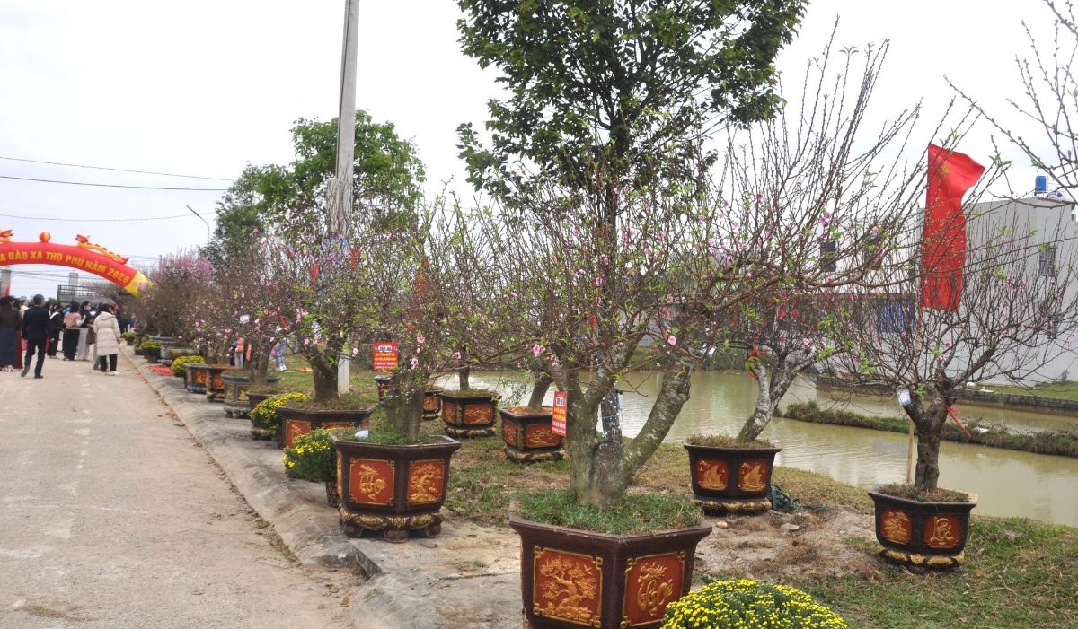 Hội chợ góp phần quảng bá thương hiệu hoa đào Thọ Phú