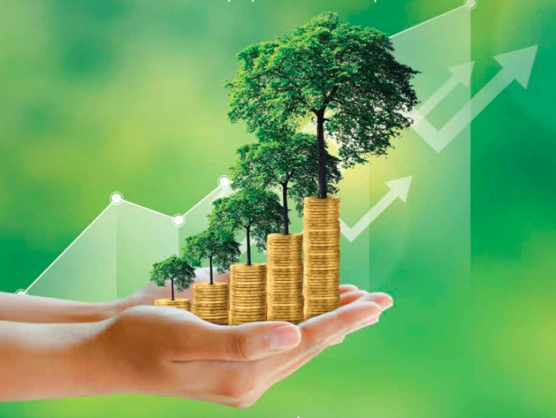 A $2-million green banking initiative launched to advance climate finance in Vietnam