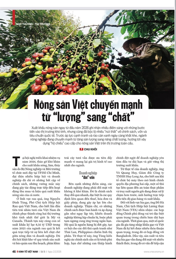 Nông sản Việt chuyển mạnh từ 'lượng' sang 'chất' - Ảnh 1