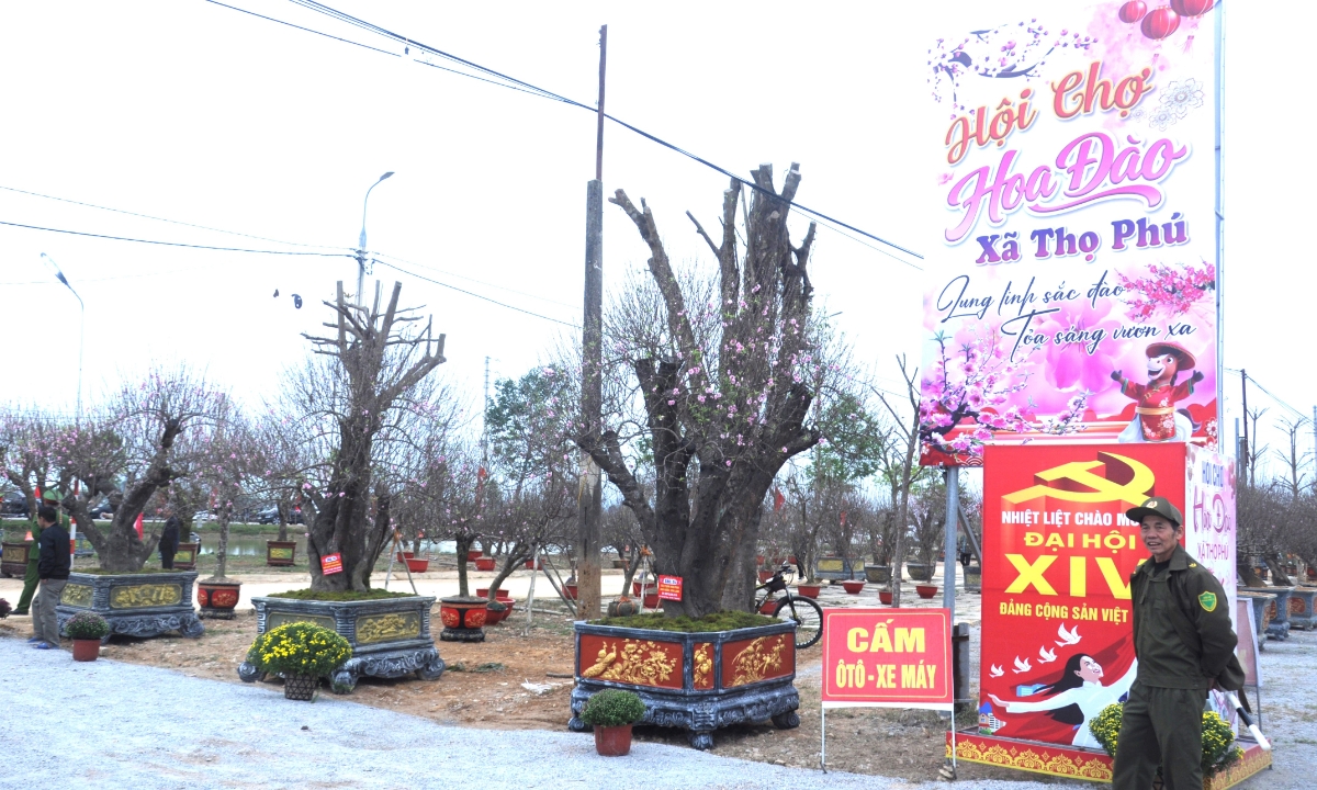 Không gian hội chợ rực rỡ sắc xuân trong ngày đầu khai mạc