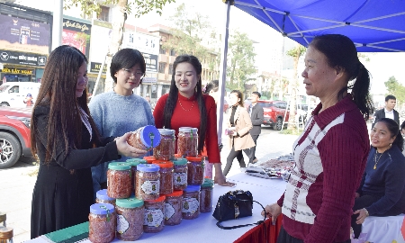 Các đại biểu thăm quan các gian hàng tại Chương trình kết nối giao thương.