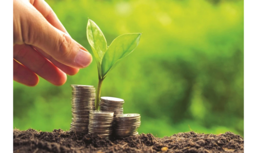 Thị trường carbon: Chi tiêu cho tín chỉ tăng