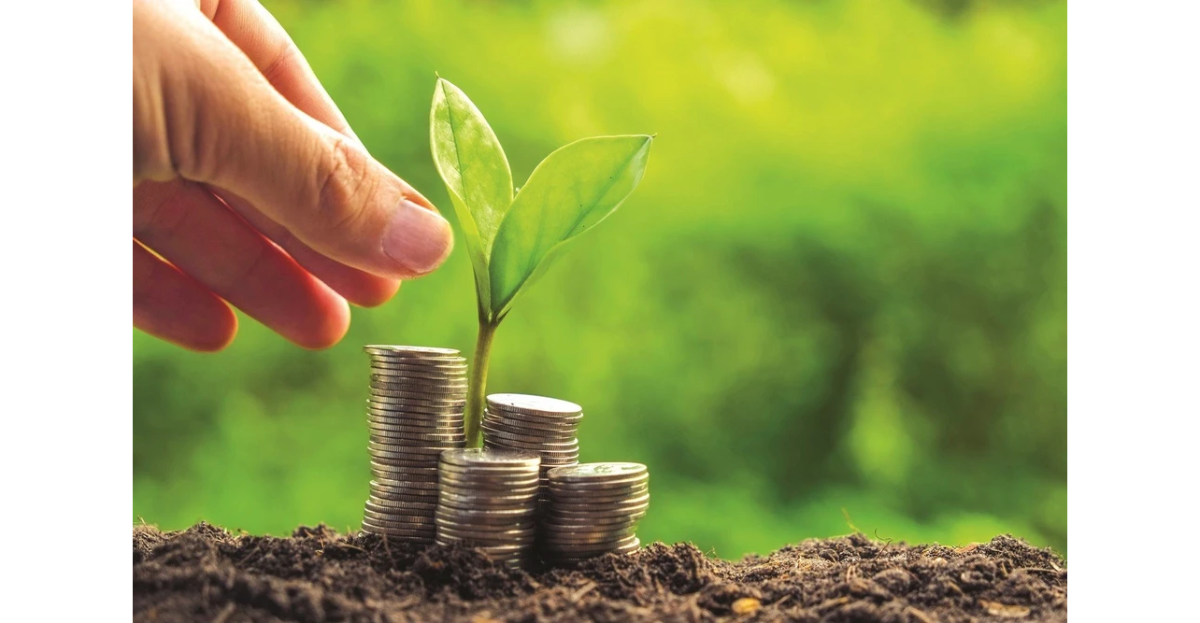 Năm 2025 là điểm nút mở sang một giai đoạn mới với thị trường carbon. Ảnh minh họa