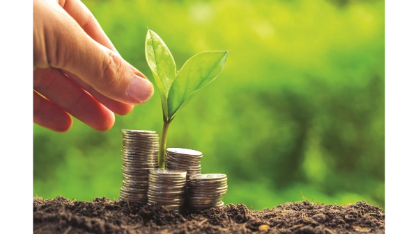 Thị trường carbon: Chi tiêu cho tín chỉ tăng