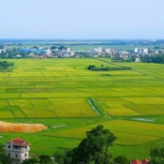 Quy định thẩm quyền của UBND cấp tỉnh trong lĩnh vực đất đai