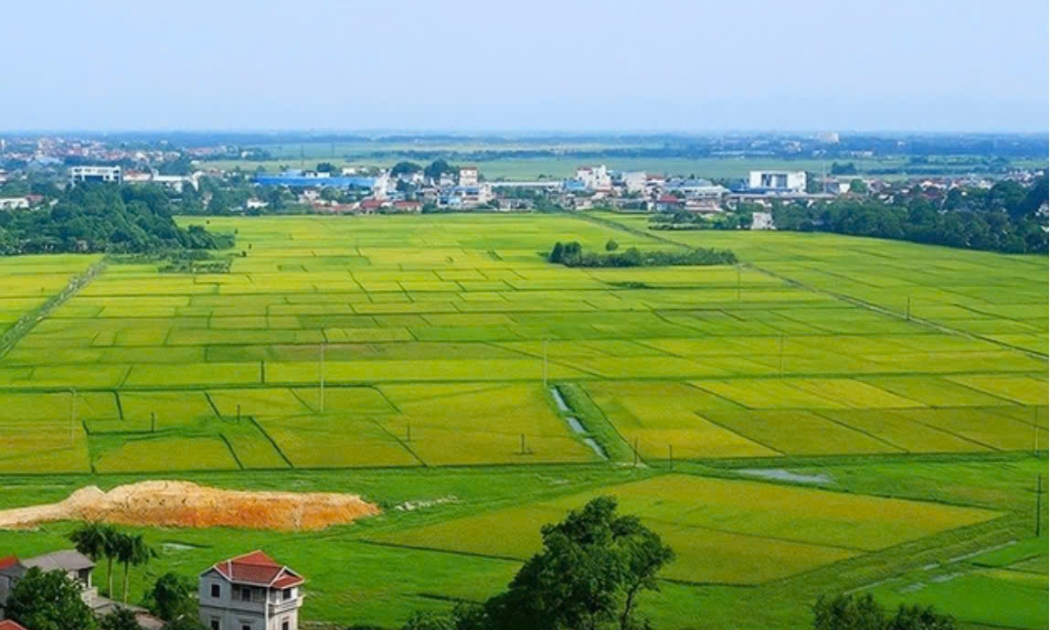 Ảnh minh họa.