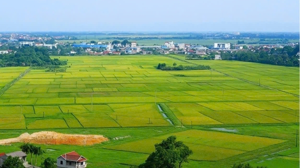 Quy định thẩm quyền của UBND cấp tỉnh trong lĩnh vực đất đai