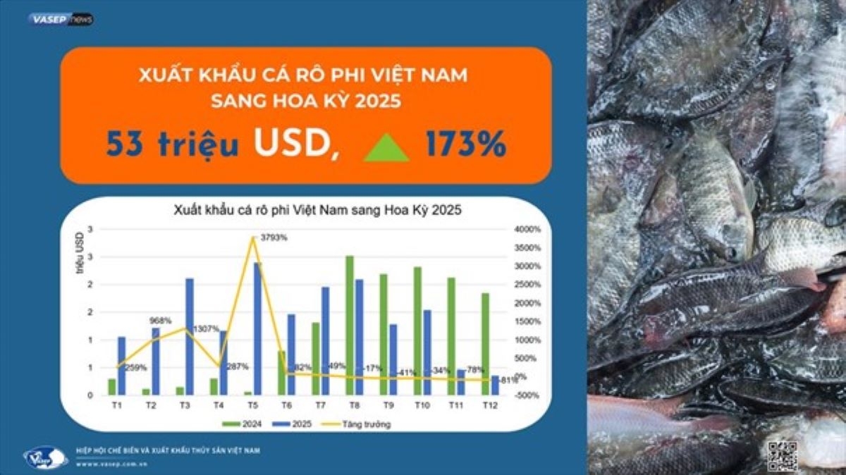 Xuất khẩu cá rô phi của Việt Nam sang Mỹ năm 2025. Nguồn VASEP.