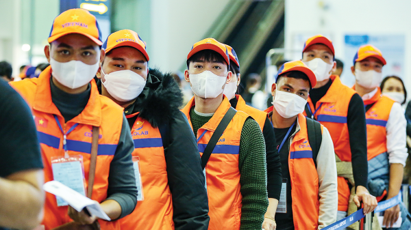 Từ “giấc mơ” Hàn Quốc đến hành trình lập nghiệp tại quê hương