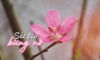 Động lực mới cho du lịch và kinh tế vùng biên