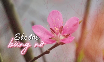 Động lực mới cho du lịch và kinh tế vùng biên