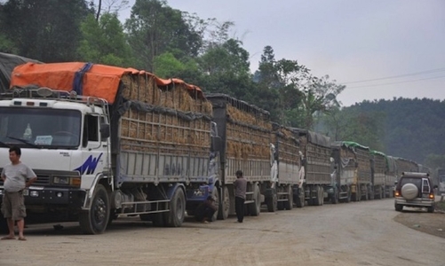 Tháo gỡ nút thắt kiểm tra an toàn thực phẩm, khơi thông dòng chảy hàng hóa biên giới