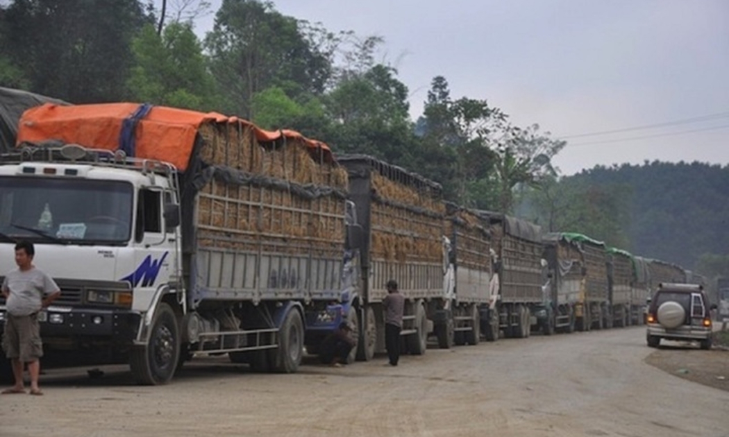 Tháo gỡ nút thắt kiểm tra an toàn thực phẩm, khơi thông dòng chảy hàng hóa biên giới
