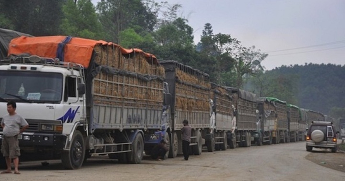 Tháo gỡ nút thắt kiểm tra an toàn thực phẩm, khơi thông dòng chảy hàng hóa biên giới