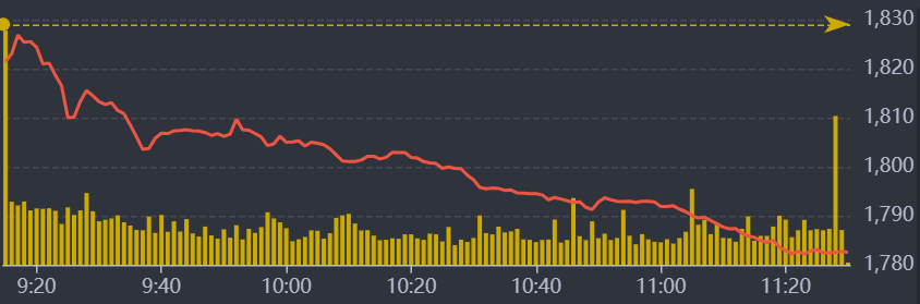 Diễn biến VN-Index sáng nay.