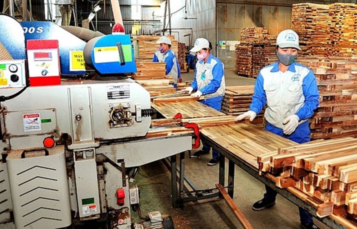 Khu vực Bình Định cũ có hơn 320 doanh nghiệp chế biến gỗ. 